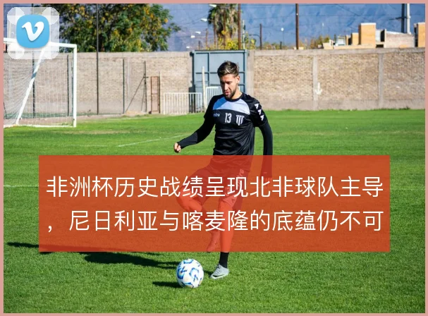 非洲杯历史战绩呈现北非球队主导,尼日利亚与喀麦隆的底蕴仍不可忽视