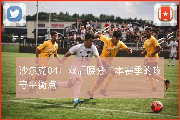 沙尔克04:双后腰分工本赛季的攻守平衡点
