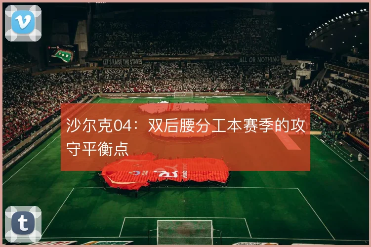 沙尔克04：双后腰分工本赛季的攻守平衡点